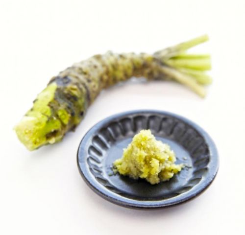 phân biệt Wasabi, Karashi và mù tạt phân biệt Wasabi, Karashi và mù tạt